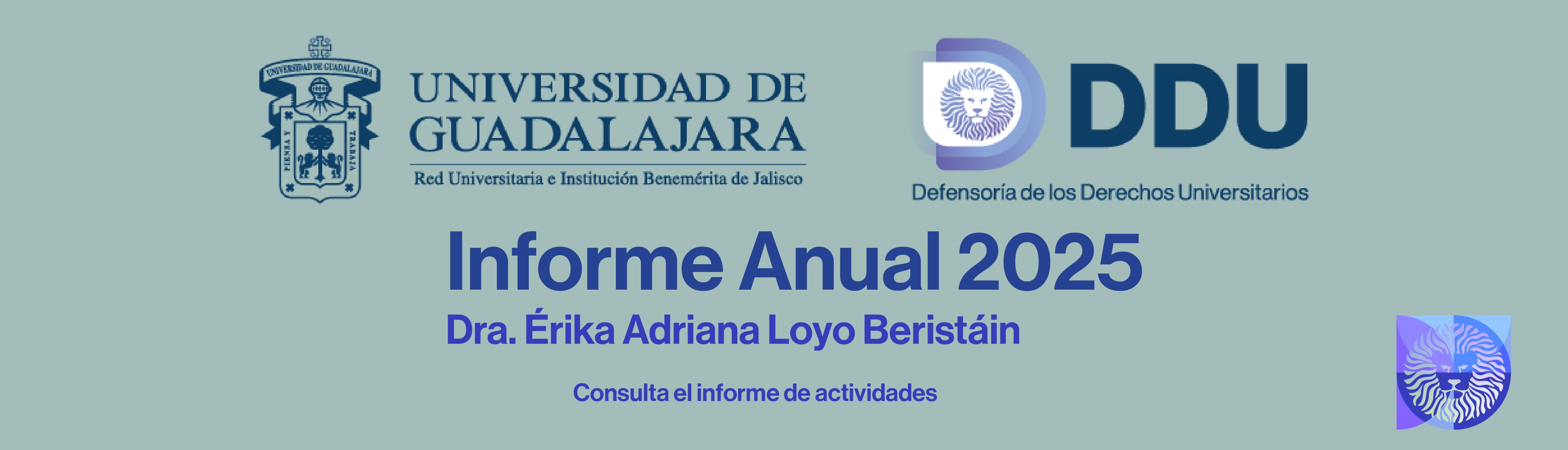 DDU informe 2025
